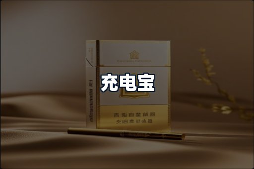 充电宝