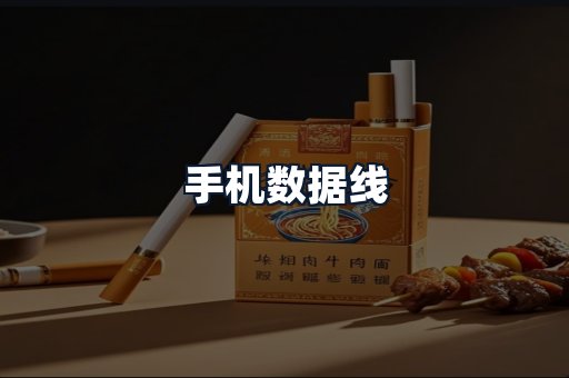 手机数据线